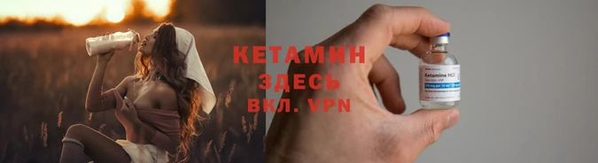 крисы Алексин