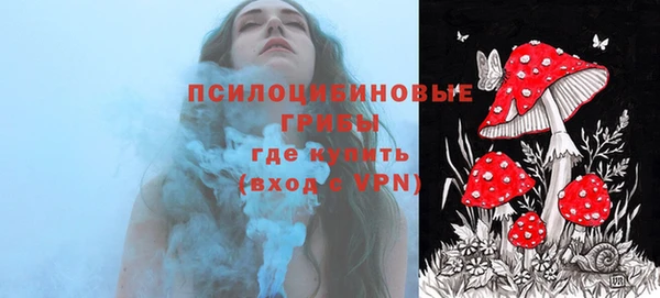 прущая мука Дмитровск